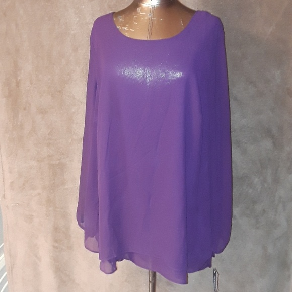 Zac & Rachel Tops - ** Zac & Rachel Sheer Lined Top Open Arm LS Plum